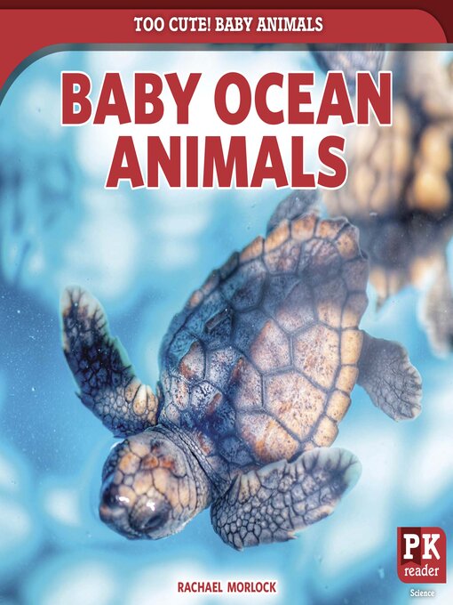 Title details for Baby Ocean Animals by Rachael Morlock - Available